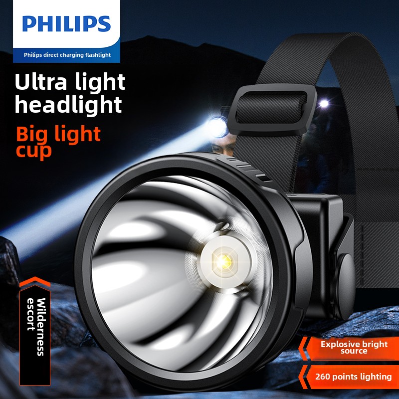 PHILIPS SFL1342 LED Headlamp S - đánh giá và giá Outdoor Lighting Philips