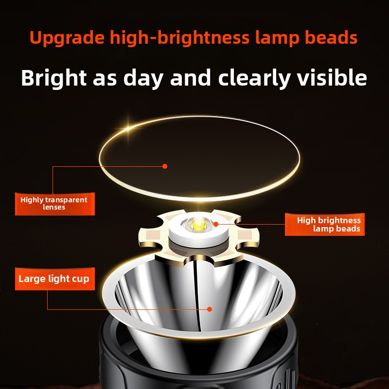PHILIPS SFL1342 LED Headlamp S - đánh giá và giá Outdoor Lighting Philips