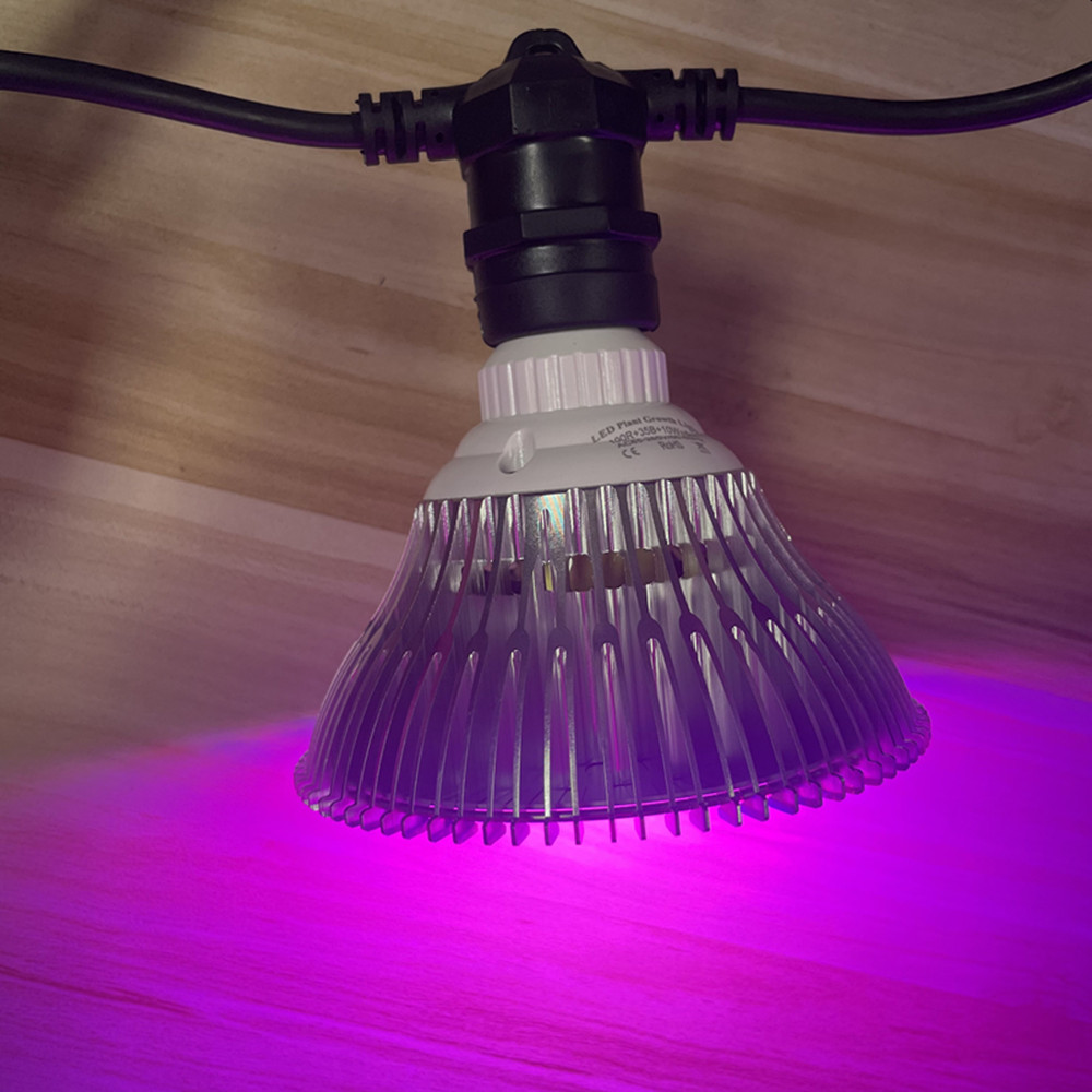 10M Cable LED String Commercia - đánh giá và giá Outdoor Lighting Extension Cord