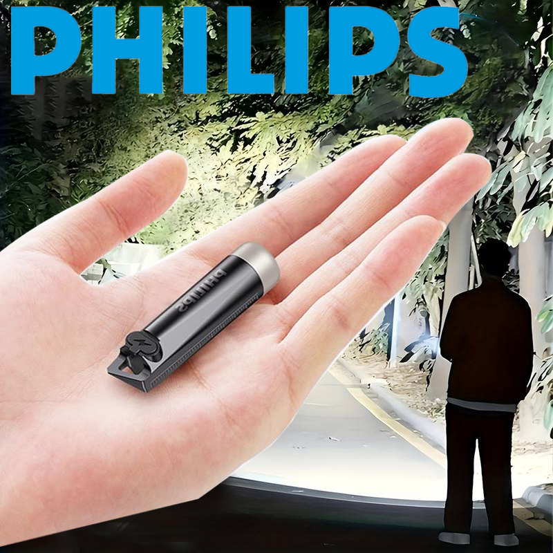 PHILIPS 2025 NEW SFL1121 EDC F - đánh giá và giá Outdoor Lighting Philips