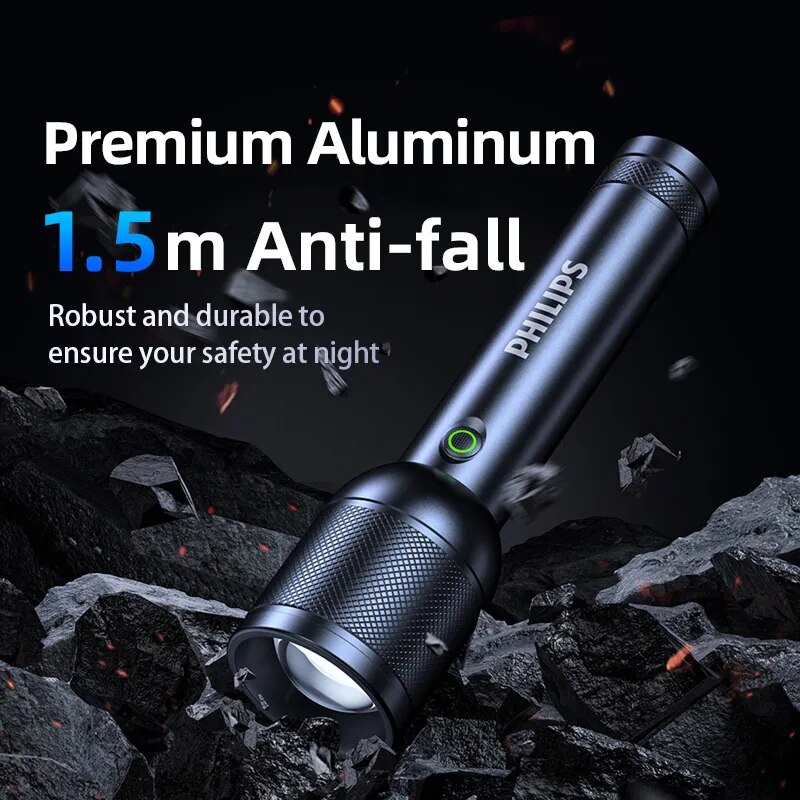 PHILIPS SFL8168 Handheld LED T - đánh giá và giá Outdoor Lighting Philips